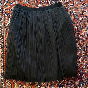 Black Pleated Tulle Skirt